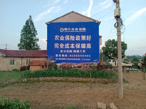 武功墙体广告的优劣势你知道吗？