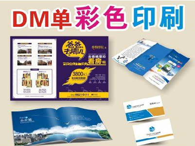 武功单页印刷，色彩搭配简单。